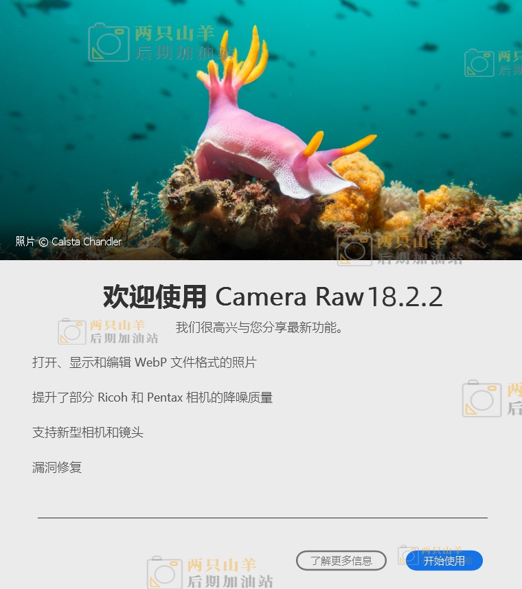 PS插件-ACR正式版独立完整安装包 Adobe Camera Raw v18.2.2 直装版更新  hqwy