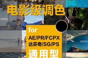 调色预设-24款电影级调色好莱坞MV视频调色支持PS/FCPX/达芬奇/AE/Pr