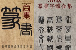 字体-36款古代小篆甲骨文字体包+印章素材！