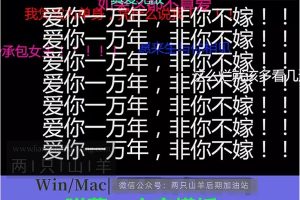 PR模板-简单的弹幕滚动直播间评论花字吐槽文字动画模板