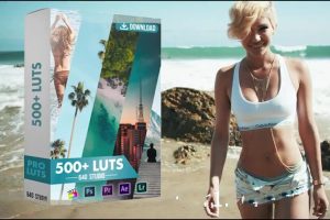 调色预设-540个风景人物黑白复古个性化婚礼电影视频调色LUTs预设