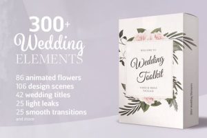 AE模板-超美婚礼文字标签!婚礼元素新人名字独特婚礼动画场景复古框架装饰花卉婚礼标题设计模型工具包