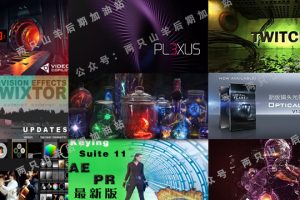AE插件-套模板必备!精选十款AE常用插件合集Element3D/Form/Twixtor/Optical Flares/Rowbyte Plexus/ Particular/ Looks/Twitch