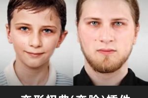 AE插件-变形扭曲(变脸)插件 REVisionFX REFlex 5.2.8 Win/Mac