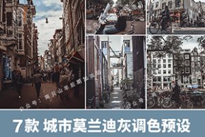 预设-7款城市莫兰迪高级灰ins街拍旅拍调色预设!LR/PS/FCPX手机APP滤镜PR调色LUT