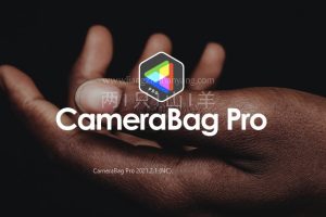 软件-强大照片滤镜软件CameraBag Pro 2021.1，WIN/MAC系统