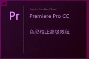 PR教程 -Premiere大师级调色教程 Pr CC内置调色插件视频教程！