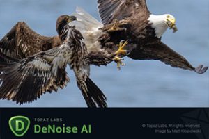 软件-图片智能降噪去颗粒处理软件+PS插件 Topaz DeNoise AI 3.6.0 MAC系统