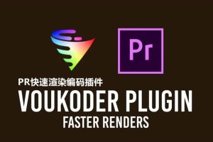 PR插件-Voukoder v8 视频编码输出插件(中文)_支持 PR/ME/AE/VEGAS(仅Win)