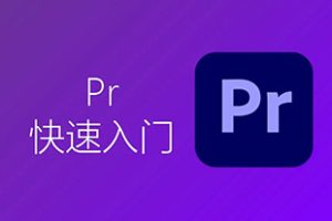 PR教程 – PR入门教程（含素材）