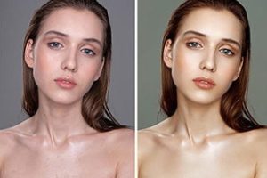 教程-人像后期进阶视频教程 RX11