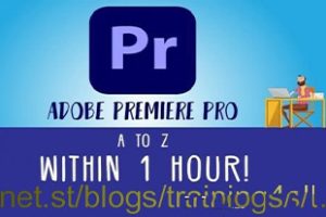 PR教程 – 绝对初学者的Premiere Pro 2021终极视频剪辑大师班-中英字幕The-Ultimate-Video-Editing-Masterclass-for-Absolute-Beginners