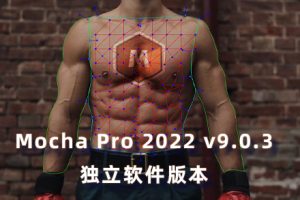 软件-跟踪摄像机反求插件摩卡Boris FX Mocha Pro 2022 v9.0.3 独立软件