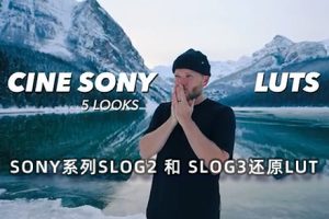 调色预设-10个SONY系列SLOG2 和 SLOG3还原LUT和5个电影风格LUT_CINE LUTS FOR SONY