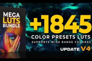 调色预设-1845个好莱坞电影大片复古婚礼人像旅行室内户外环境LUT调色预设 Mega LUTs Bundle