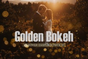 素材-60张高清散景光斑摄影后期叠加合成素材 Golden_Bokeh_Pack_01_lights