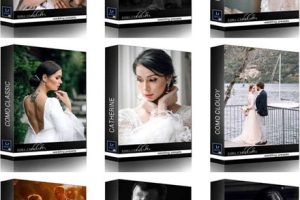 LR/PS预设-俄罗斯婚礼摄影大师Lyuba Chulyaeva 9套婚礼人像LR预设合集