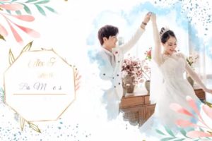 PR预设-清新彩色墨水动画浪漫婚礼相册婚纱照视频Wedding Slideshow
