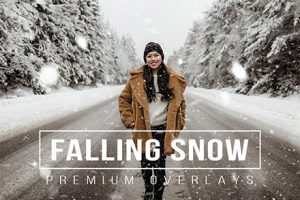 素材-60张真实雪花飞舞下雪摄影后期叠加合成素材60 Snow Overlays