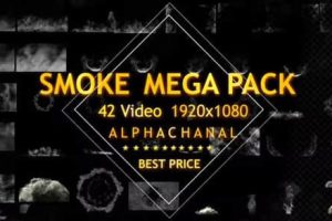 视频素材-42个有透明通道的烟雾动画视频素材 Smoke
