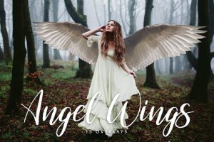 素材-15个天使之翼天使的翅膀摄影后期叠加合成素材Angel_Wings_Overlays