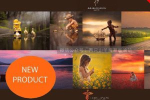 LR/PS预设-Jake Olson+Lisa Holloway终极儿童高级LR预设套装 Premium Lightroom
