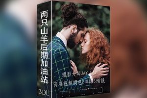 LUT预设-俄罗斯顶级商业摄影大师JAY LAY人像3DLUT预设(AE/PR/PS/达芬奇/剪映)