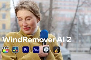 FCPX插件-自动智能消除视频风噪声音频降噪插件 支持M1 WindRemover AI 2 2.0.8