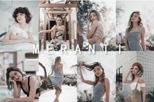 调色预设-6款莫兰迪电影色调ins博主PS/PR/AE/FCPX达芬奇LR调色LUT预设