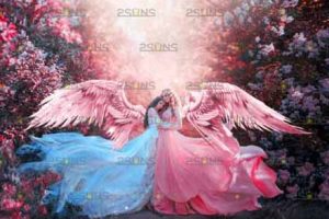 素材-39张粉色天使翅膀天使之翼摄影后期叠加合成PNG素材 Pink rose wings photo overlays by 2suns