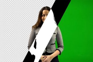 AE/PR插件-人工智能背景移除蒙版遮罩抠像颜色键控插件Goodbye Greenscreen V1.9.5 GPU Win 中文汉化