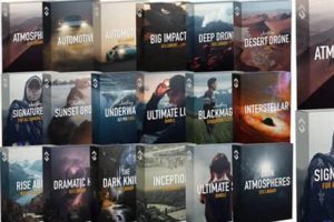 LUT预设-电影级环境氛围背景音效LUTs视频调色预设包 The Master Bundle LUTs