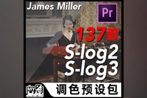 LUT预设-索尼电影级调色LUT预设DELUTS SONY A7s CINE 4, SLOG2 & SLOG3 Log灰片调色 共284个
