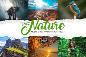LR/PS预设-高级自然风光摄影旅拍Lightroom预设 Nature Vol. 2 – 15 Premium Lightroom Presets