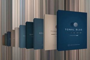 LUT预设-30种专业电影级柔和浓郁深沉情感明亮冷暖红蓝绿金色精品LUTS调色预设(FCPX/PR/PS/AE/达芬奇/OFX)Lens Distortions Finishing LUTS