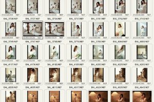RAW原图-35张高雅婚纱人像摄影RAW原图 婚纱情侣婚纱修图练习RAW素材