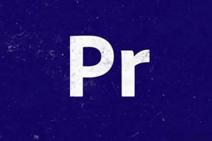 PR教程-Adobe Premiere Pro 2022 终极课程 中英字幕