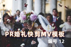 PR模板-3套Pr30秒婚礼快剪模板朋友圈小视频商业活动宣传预告片婚庆MV剪辑 JJ24