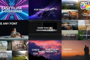 FCPX插件-200个简单基本文字标题动画预设 Text Animation Presets 支持M1M2