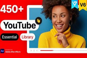 AE脚本-450个时尚网络社交媒体LOGO标题字幕条排版包装宣传动画 YTB Essential Library V6 ( EasyEdit Viewer V3.2.0)