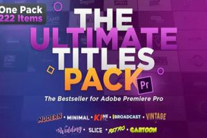 PR预设-222个现代媒体婚礼卡通复古动态排版设计终极文字标题动画预设 婚礼文字 The Ultimate Titles Pack