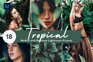 LR/PS预设- INS网红旅拍森系胶片人像Lightroom预设 Tropical Instagram Presets