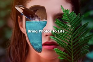 软件-相片大师中文版14.4.1619.1