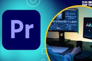 PR教程-Premiere Pro 2023 高级视频编辑剪辑课程-中英字幕