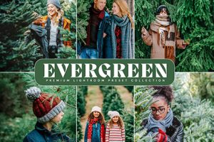 LR/PS预设-LOU & MARKS 清新森系人像Lightroom预设 Evergreen Presets
