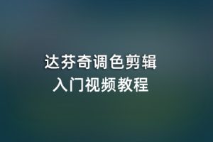 达芬奇教程-达芬奇调色剪辑零基础入门视频教程 ！TS06