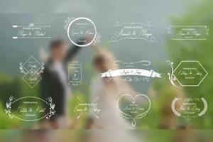AE/PR模板-12组浪漫小清新爱情婚礼文字视频预告快剪标题动画 Wedding Titles