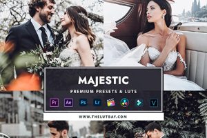 LR/PS/LUT预设-盛大的电影婚礼人像LR预设和婚礼视频后期调色LUT预设TheLutbay