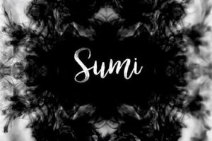 视频素材-精选水墨视频转场合集 64组水墨滴落烟雾散开转场合成4K高清视频后期素材+56种水墨泼洒飞溅转场特效