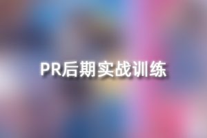 PR教程-影视后期实战教程 JJ14